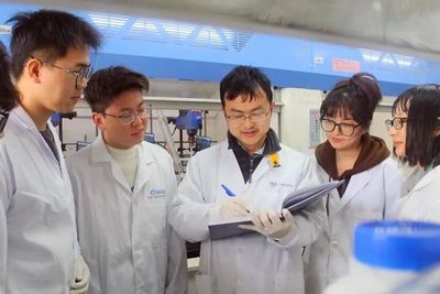 喜報!材料與能源學(xué)院、生物質(zhì)工程研究院獲6項省科技獎!