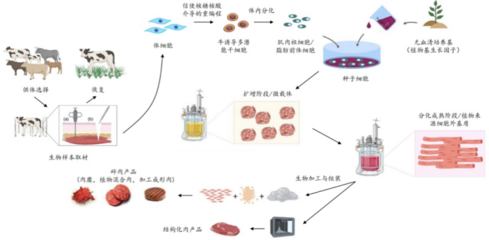 226起投融資、52個過億項(xiàng)目.食品飲料行業(yè)有哪些潛力賽道值得挖掘?