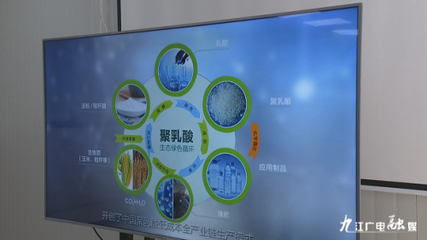 羅小云副省長赴潯調研聚乳酸全產業鏈項目，聚焦生物基材料研發新進展